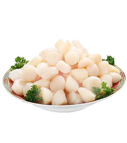 Frozen Scallops Meat Scallops Meat