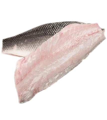 Seabass Fillet Skin On Seabass Fillet Skin On