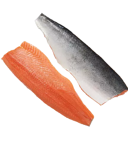 salmon fillet skin on Salmon Whole side Fillet Skin On