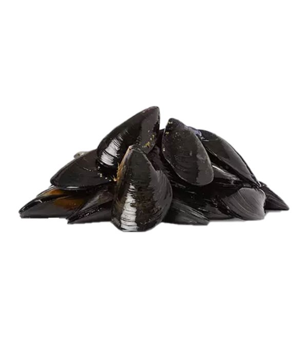 Black-Mussels-Whole-1-Pack-is-1-Kg