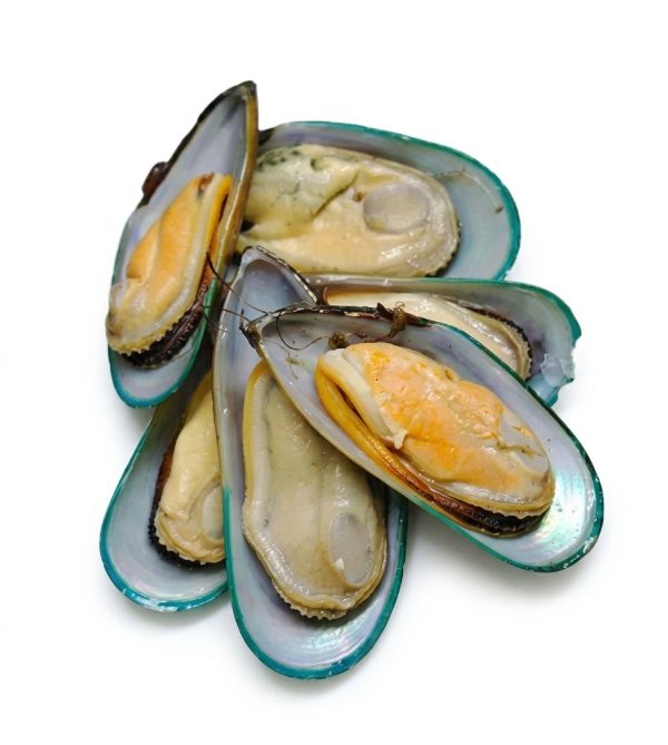 Green-Half-Shell-Mussels-1-Pack-is-1-Kg