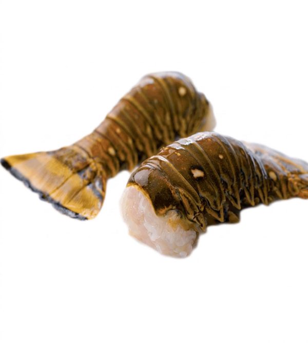 Lobster-Tail-Medium-200-250-grm