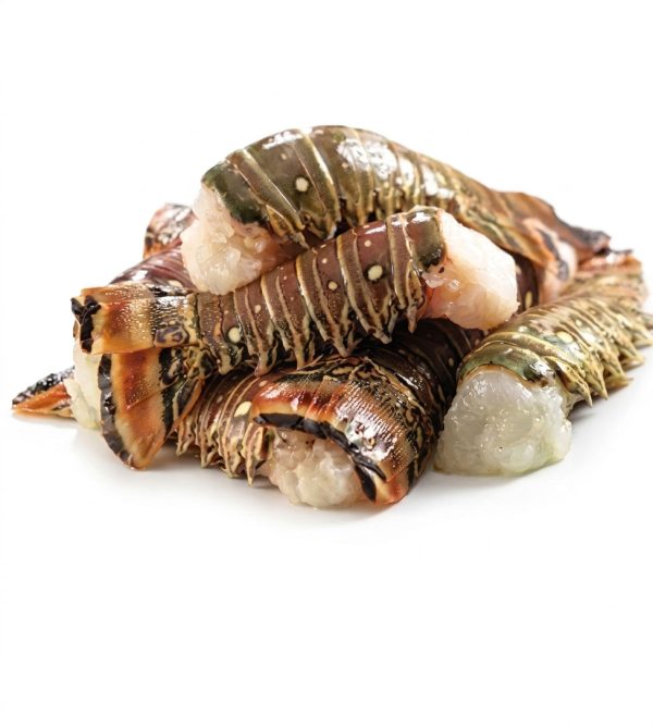 Lobster-Tail-Small-150-200-grm