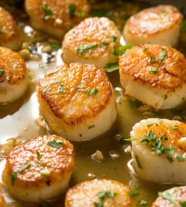 Scallops-Meat-1020-SIZE-1-Pack-is-1-Kg