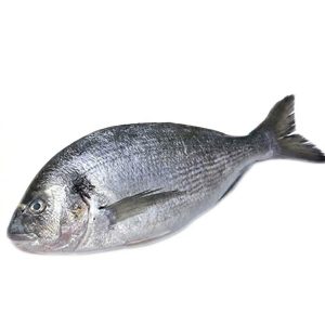SeaBream Whole Cleaned Gutted - Image 1