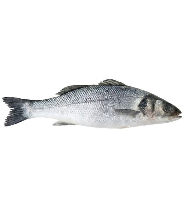 Seabass-Whole-Cleaned-Gutted