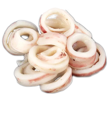 Squid Rings
