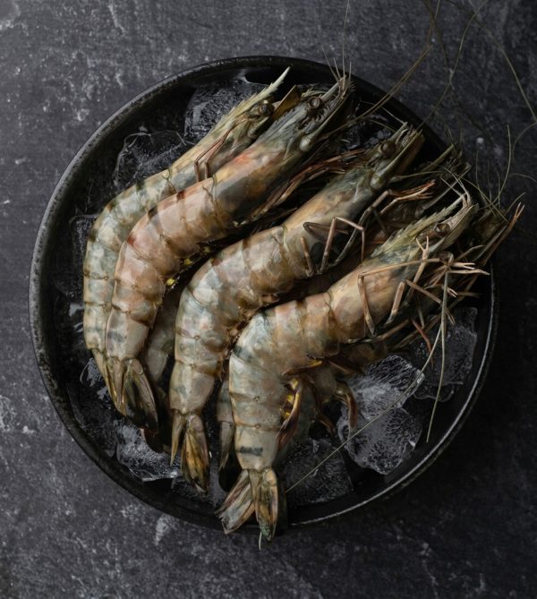 Medium Black Tiger Prawns 1 Pack is 1 Kg